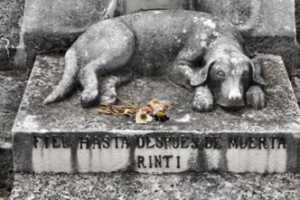 Lying down Dog Statue in Malvern Cemetery